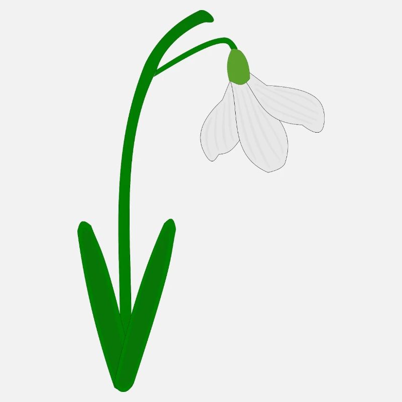 Perce-neige Mois de naissance de janvier Fleur Anniversaire