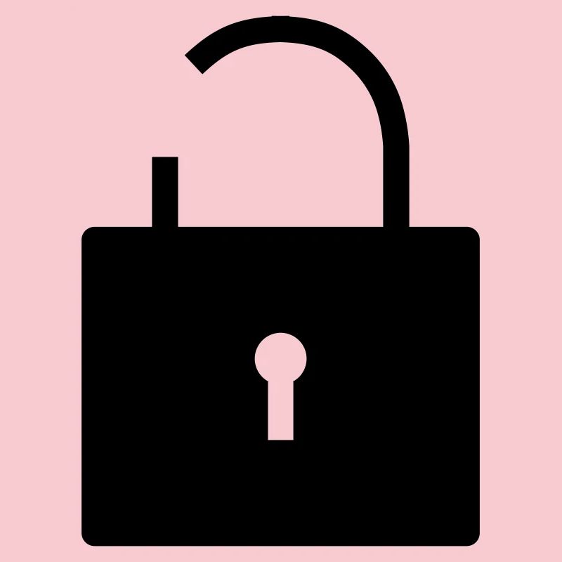 No security no security open lock lock