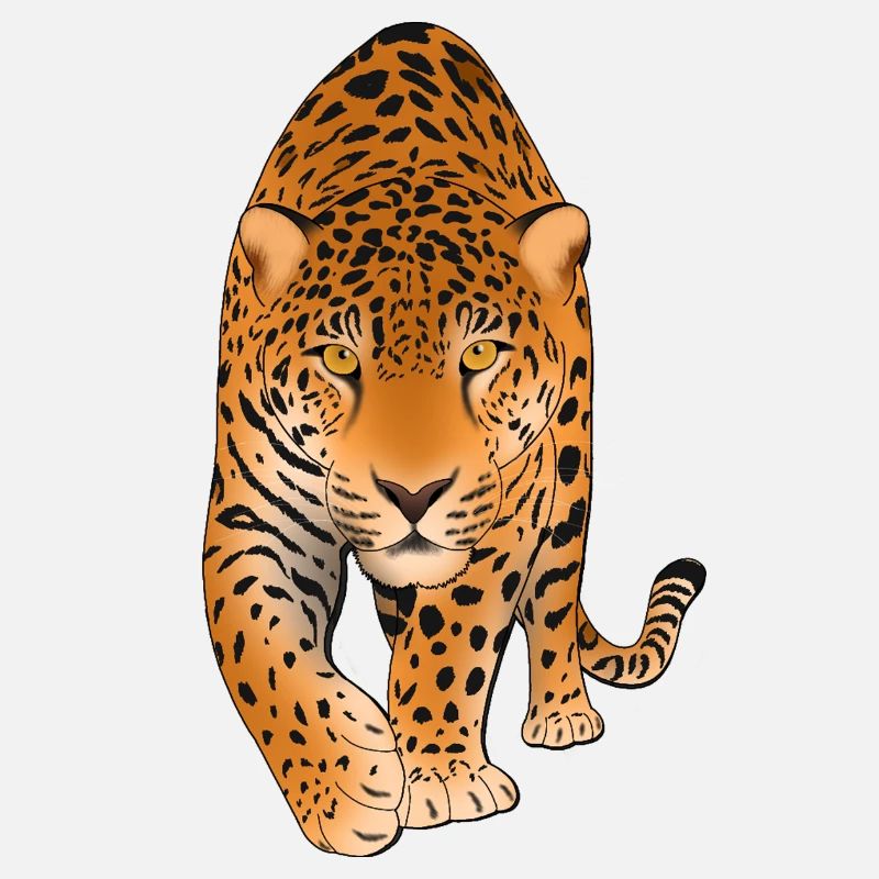 Leopard Big Cat 
