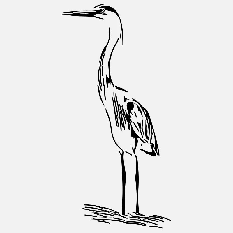 Elegant heron
