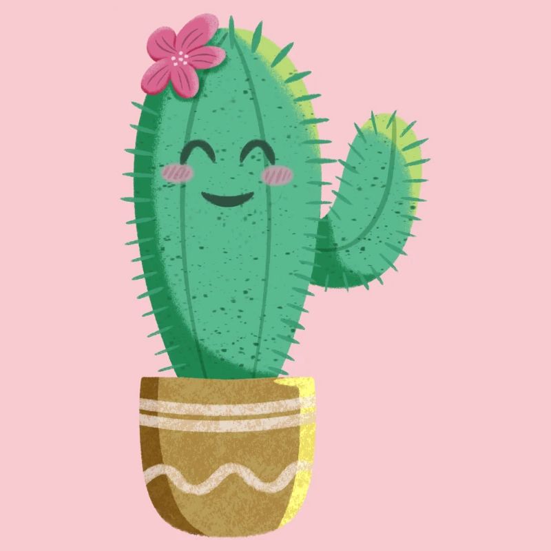 Cactus mignon avec fleur