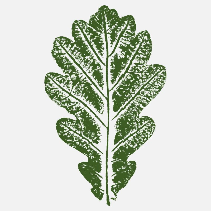 Feuille de chêne / Feuilles Design