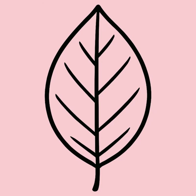 Conception minimaliste Leaf