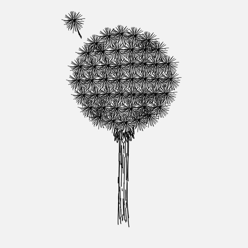 Pusteblume