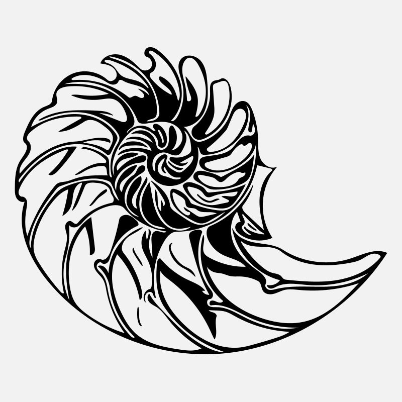 Elegant shell