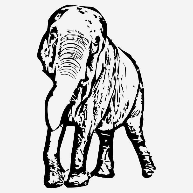 Éléphant noir