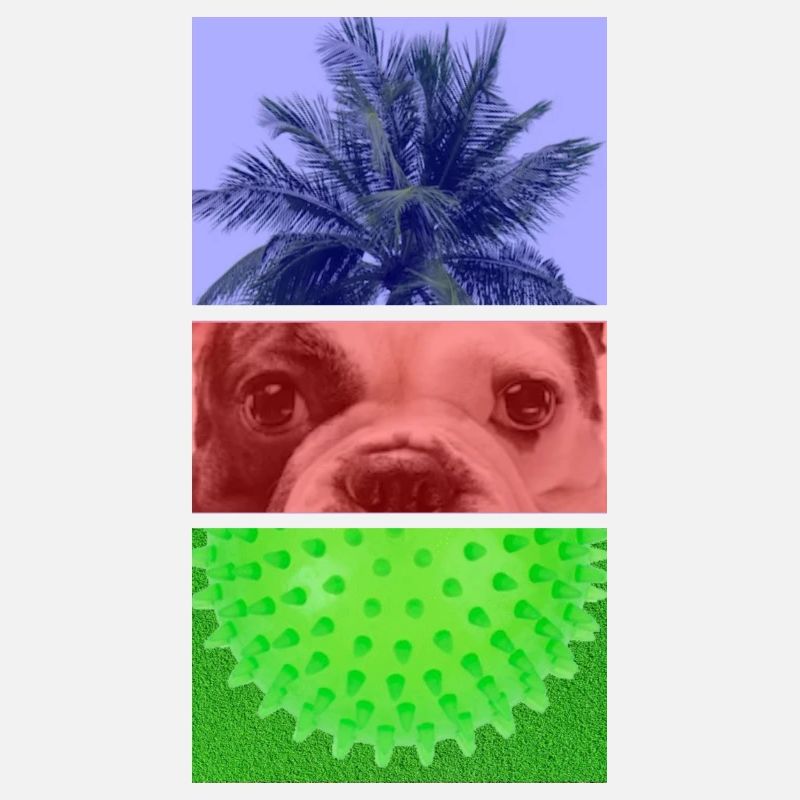 Triptyque Palmier – Chien – Pointes