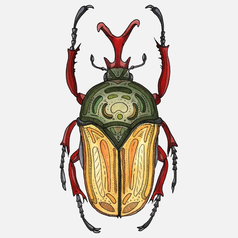 Big Stag - Coléoptère cerf géant