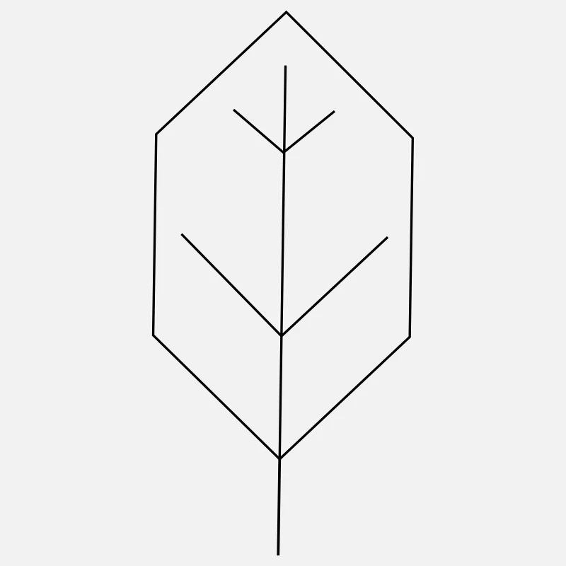 leaf contour