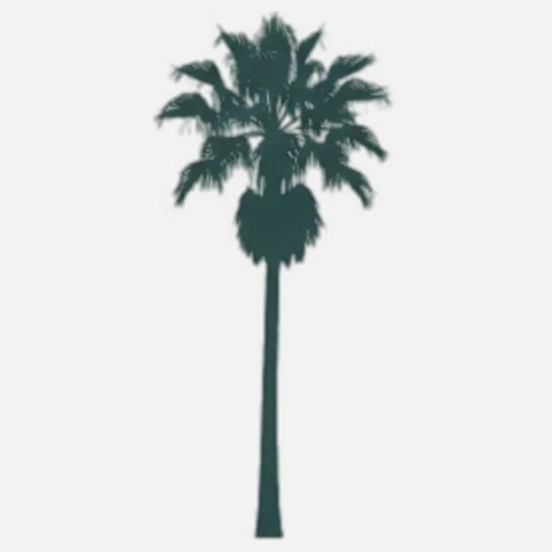 Tropical palm tree design