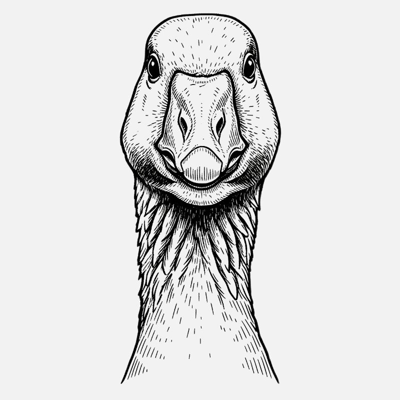 Goose