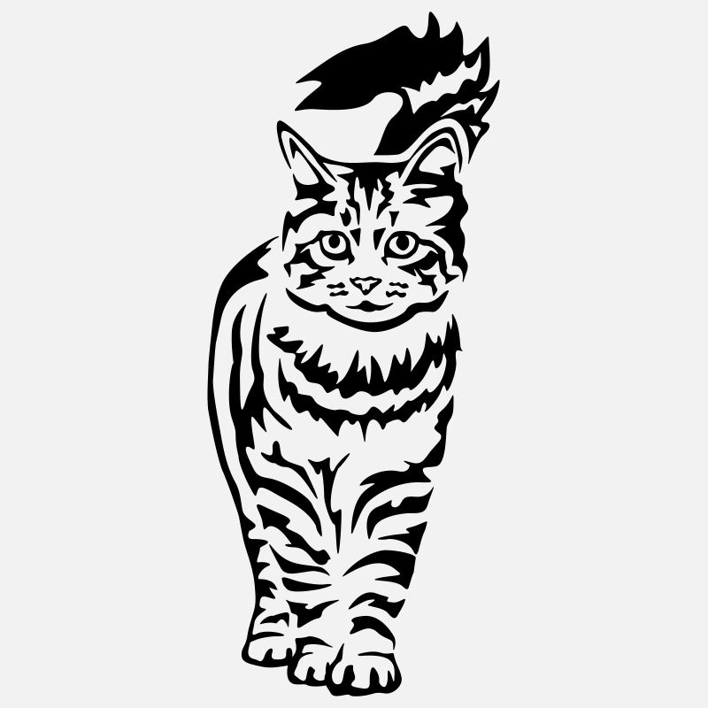 Domestic Cat - Cat