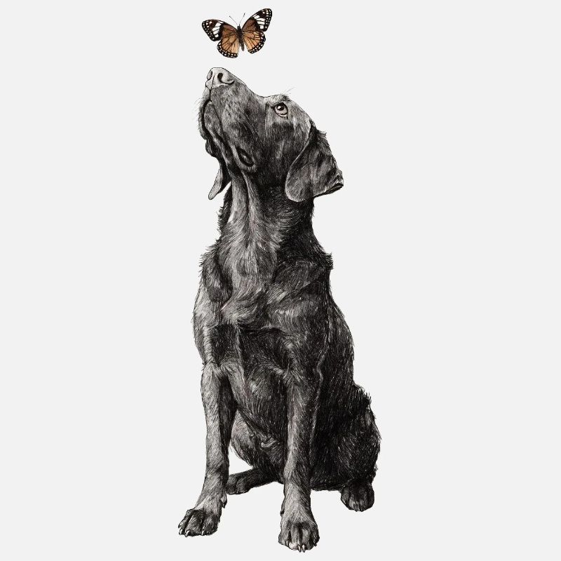 Illustration de labrador avec le chien papillon Labbi