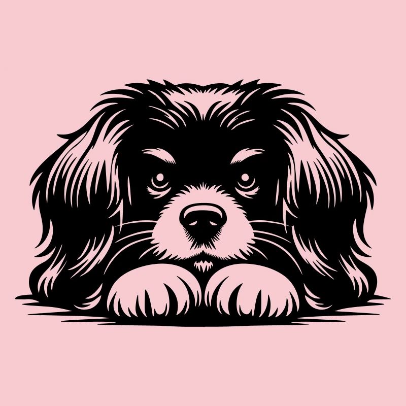 Tibetan Spaniel Head with Paws