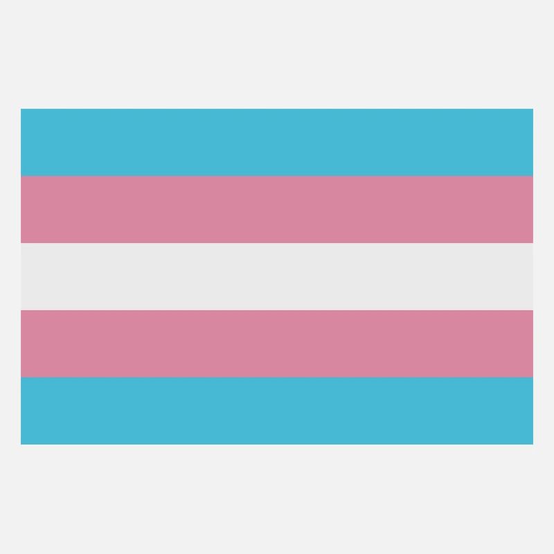 Drapeau trans
