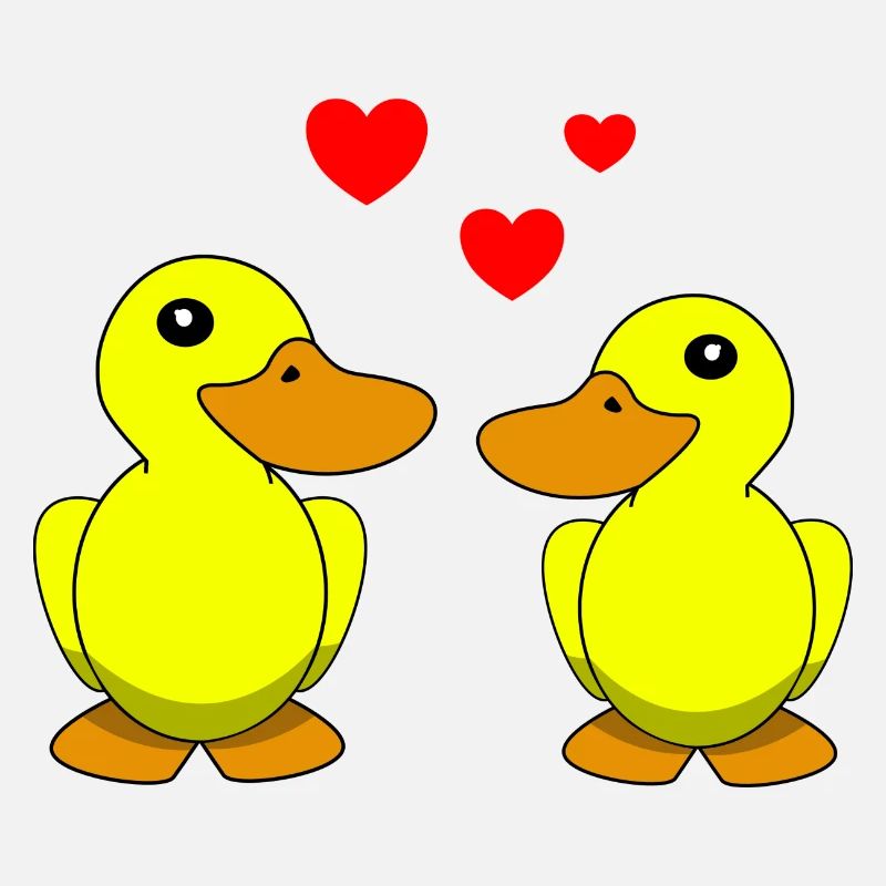 Canards Saint-Valentin