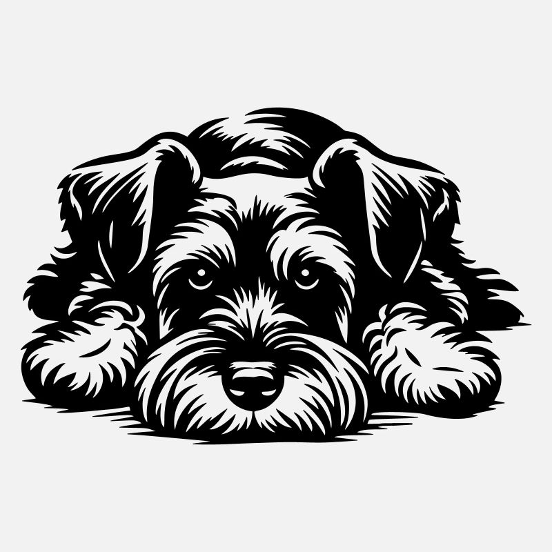 Schnauzer nain