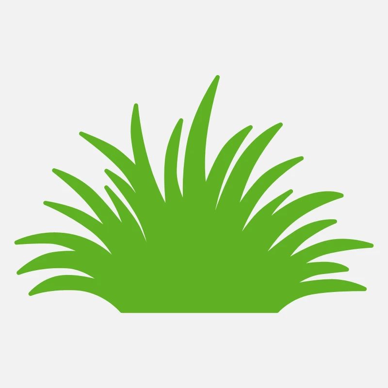 Grass