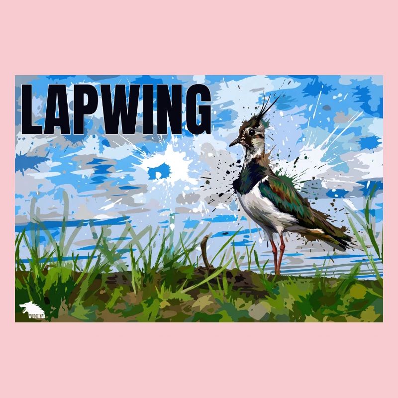 LAPWING