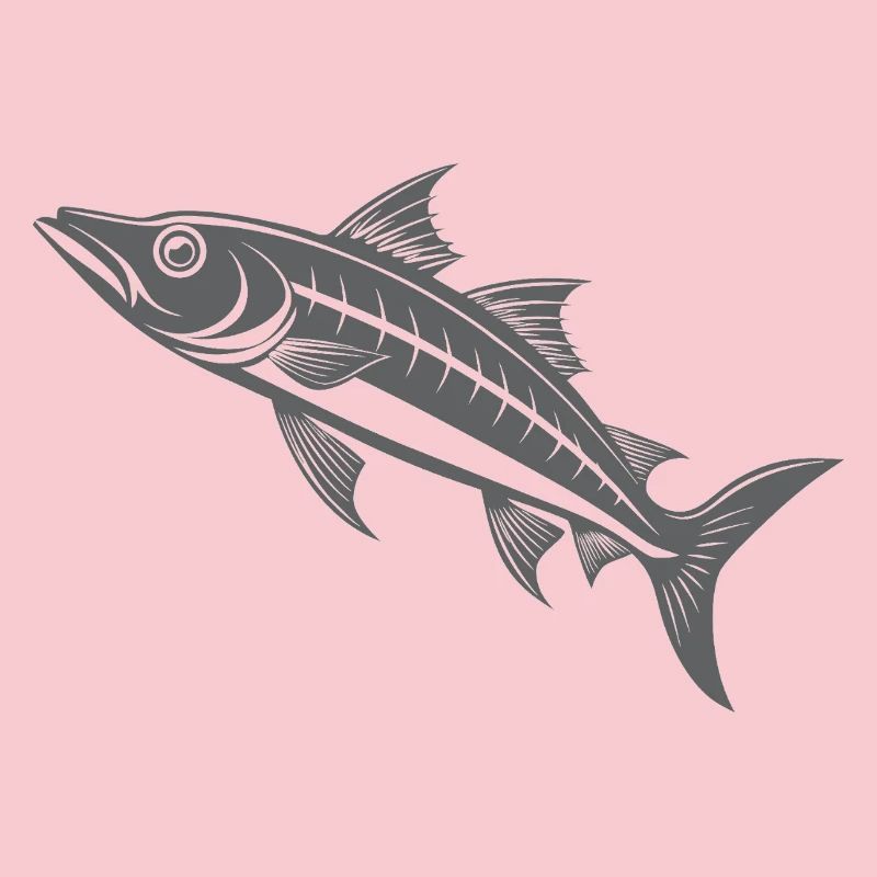 Barracuda