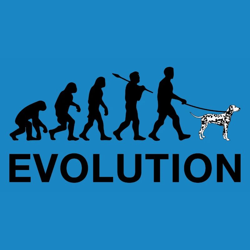 évolution