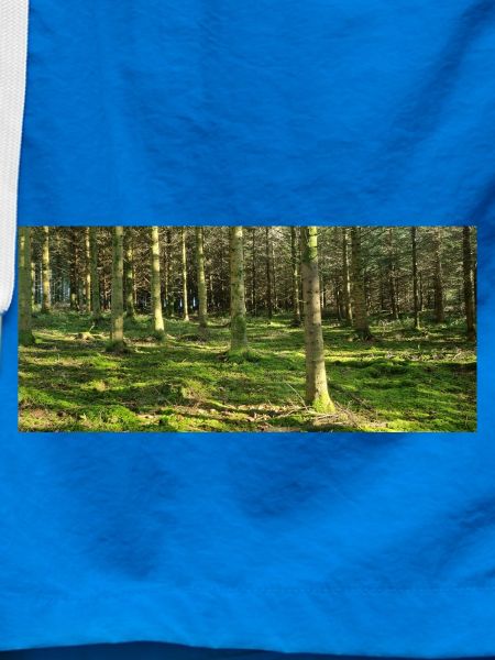 Lichter Waldlandschaft Druckdesign