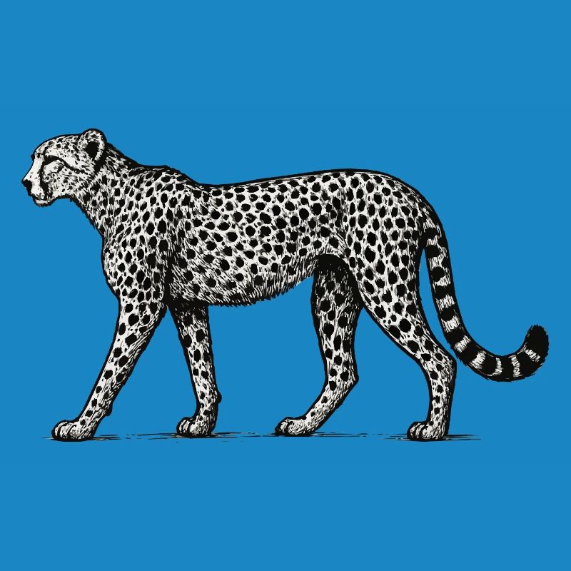 Black and White Leopard Pattern