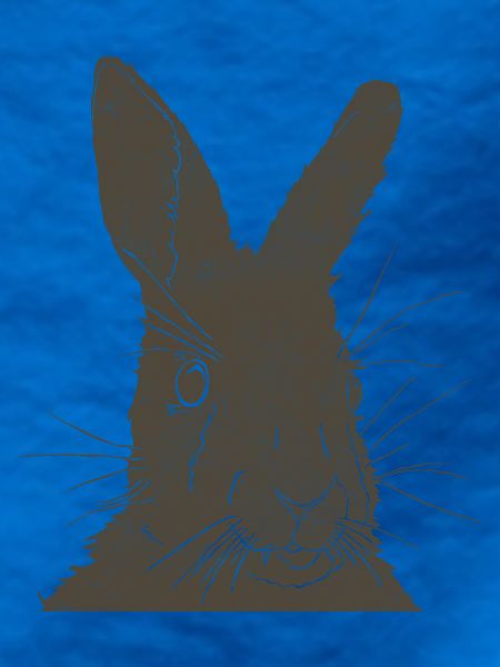Hase Silhouette Erdfarben