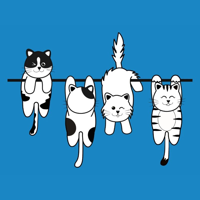 Chat de lessive