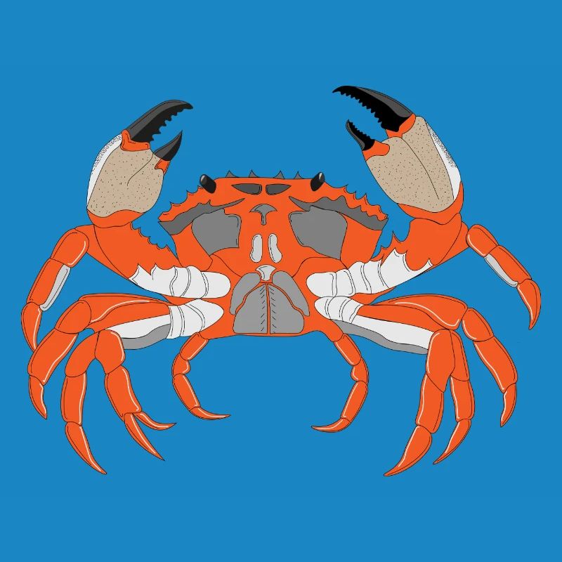 Empreinte de crabe