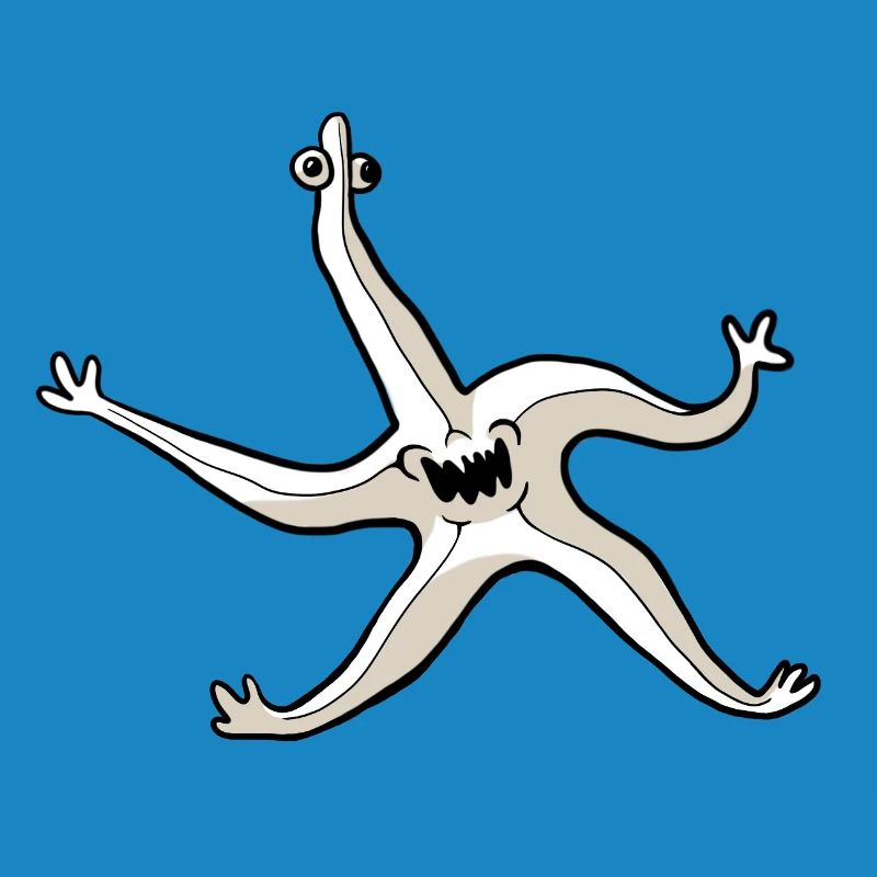 Quirky Starfish