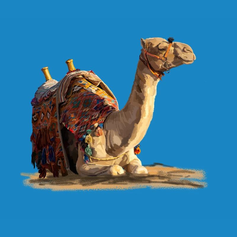kamel