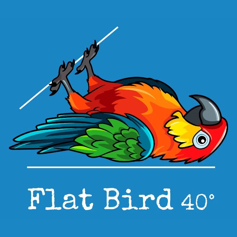 Flat Bird at 40 degrees