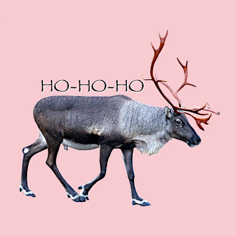 HOHOHO