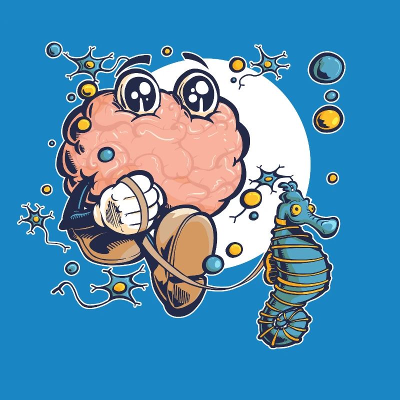 Brain & Hippocampus