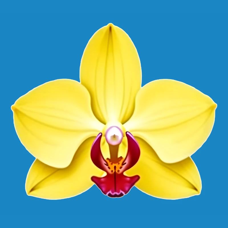 orchidée