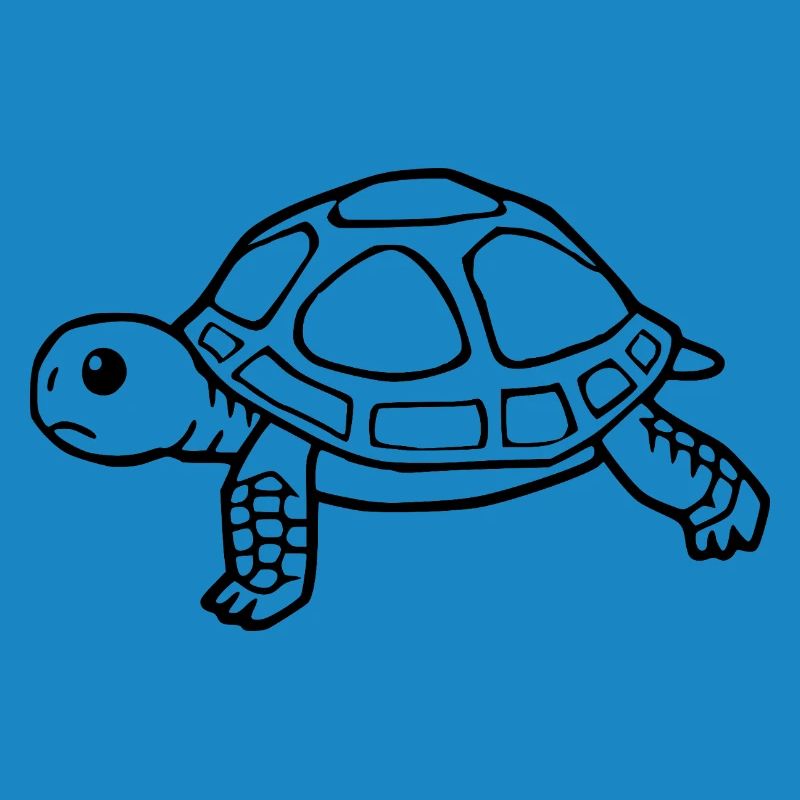 Turtle Turtles
