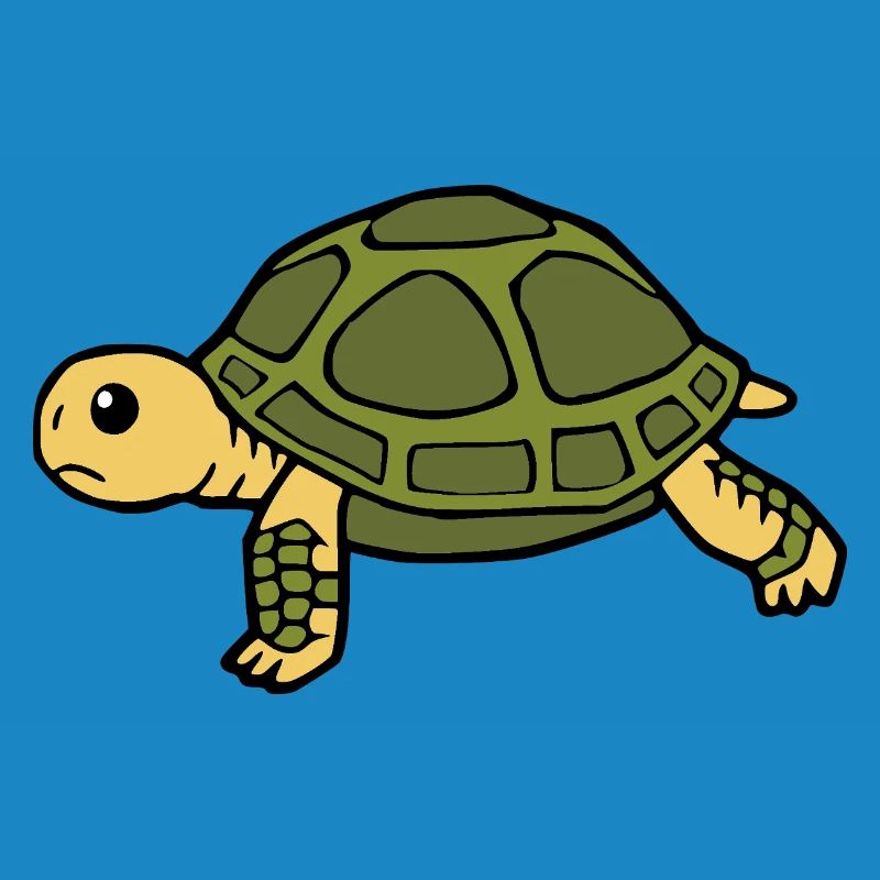 Turtle Turtles