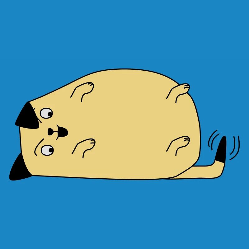 Chien regarde sa queue