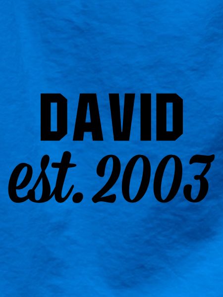 David est 2003