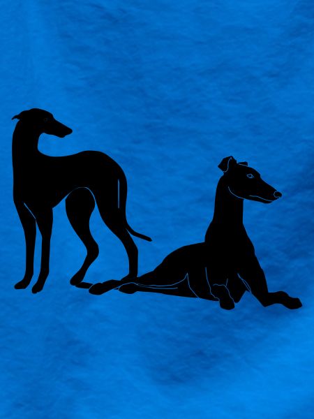 Gruppe Galgos
