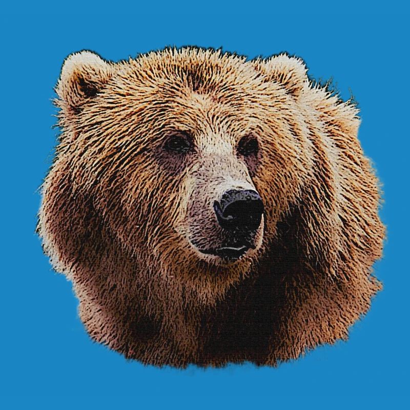 Bear Lover T-Shirts, Bear Head Night Pattern