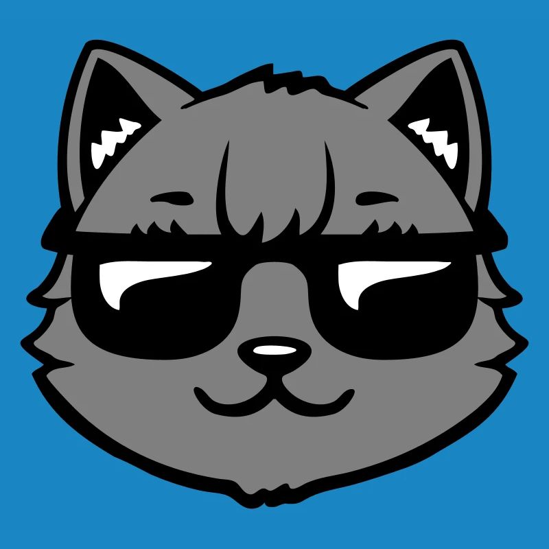 Lunettes de soleil gris chat Look cool style décontracté