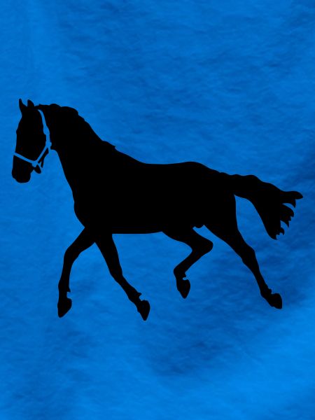 Pferd