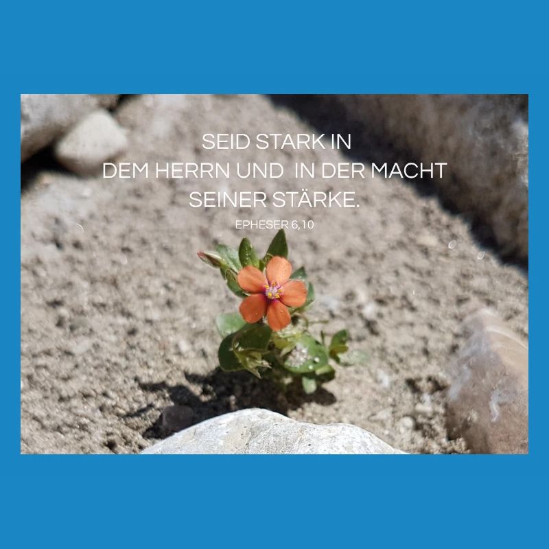 Kraft durch Glauben Blume der Stärke