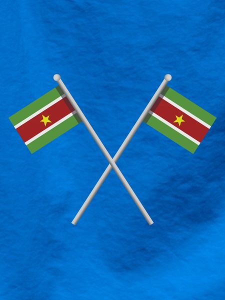 Surinam-Flagge