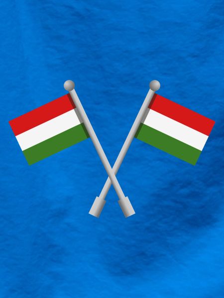 Ungarische Flagge