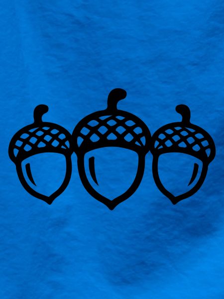 Eichel Symbol