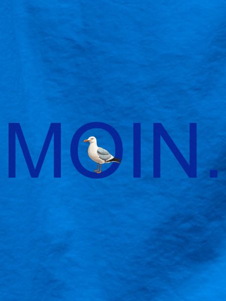 MOIN. mit Möve