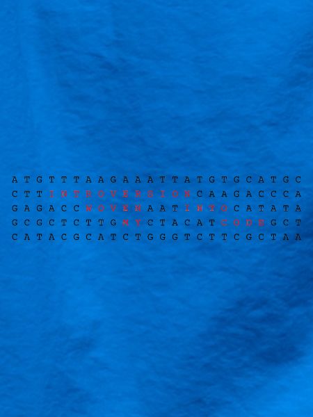 Introversion, eingewoben in meine Code-DNA